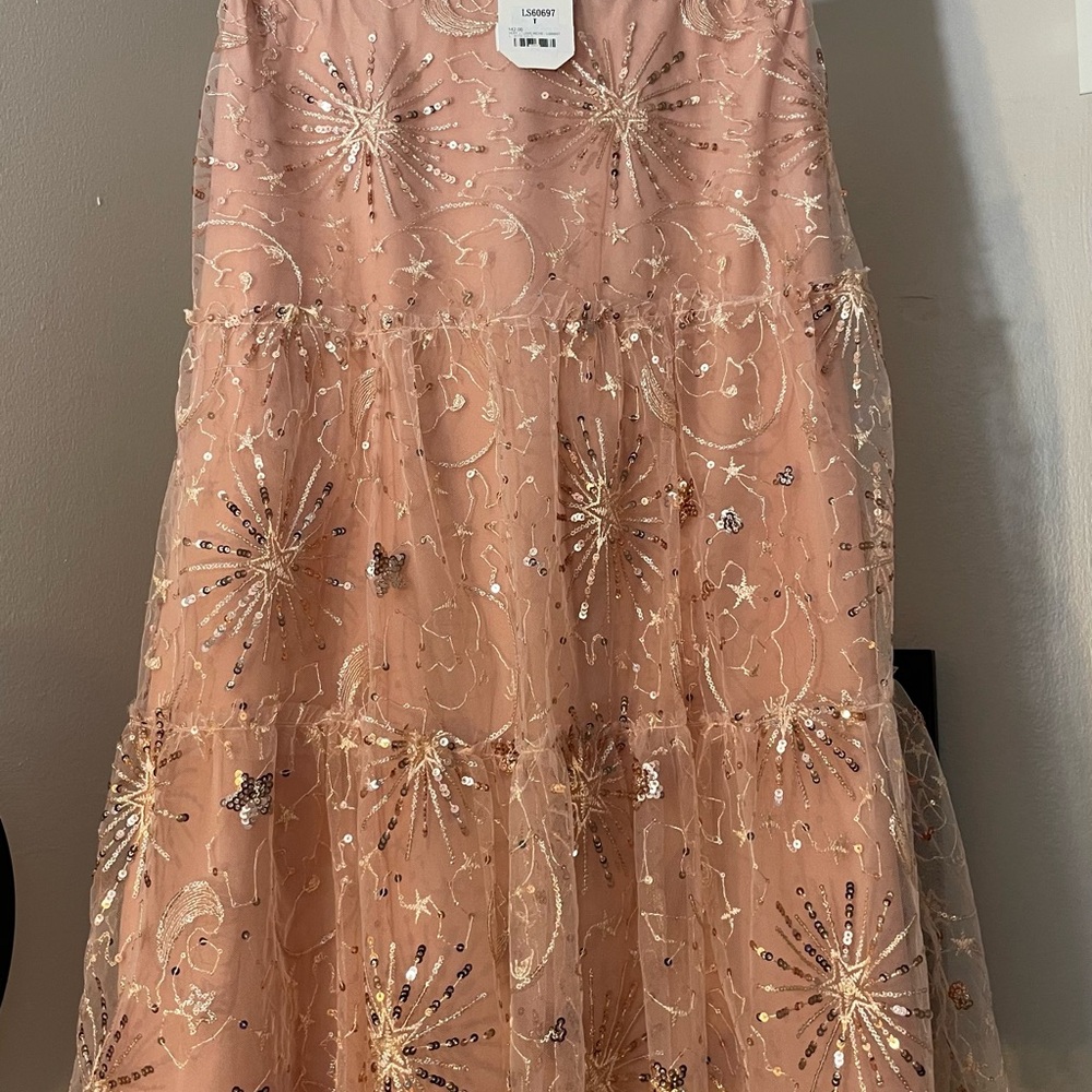 Loveriche Peach Sheer Tulle Sequin Midi Skirt
NWT Size L